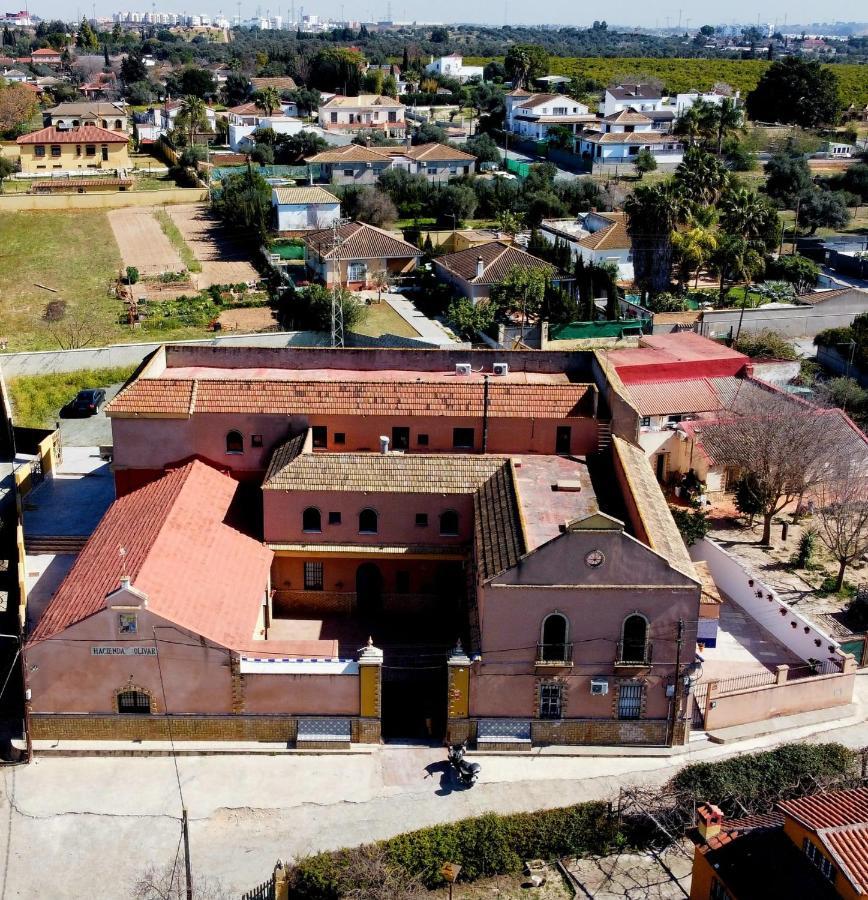 Casa Cortijo Olivar セビリア エクステリア 写真